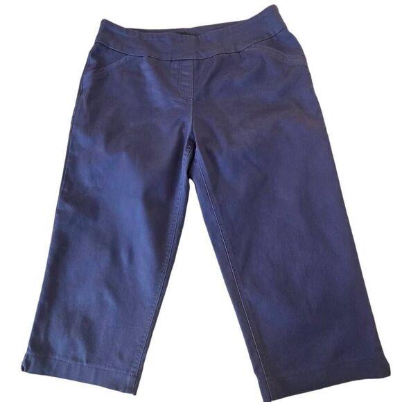 NWOT Westbound Women's Blue Stretchy High Rise Capri Pull On Pants Size 10 - Picture 1 of 10